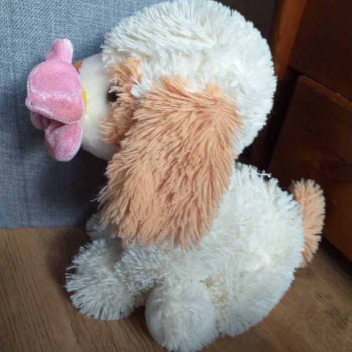 Piesek pluszak - Rypin