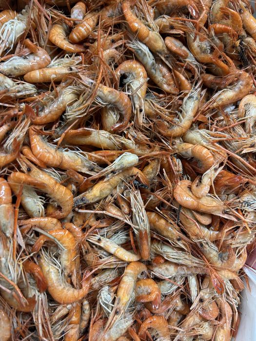 Раки , Варені раки, ікра, креветка
