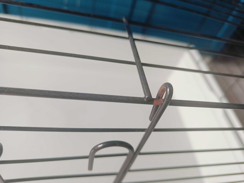 Klatka dla świnki morskiej, królika - 100x54cm