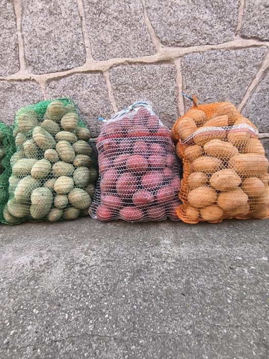 Ziemniaki, kartofle, pyrki, gala, satina, bellarosa