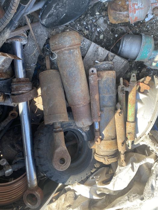 Гидроцелидри разные