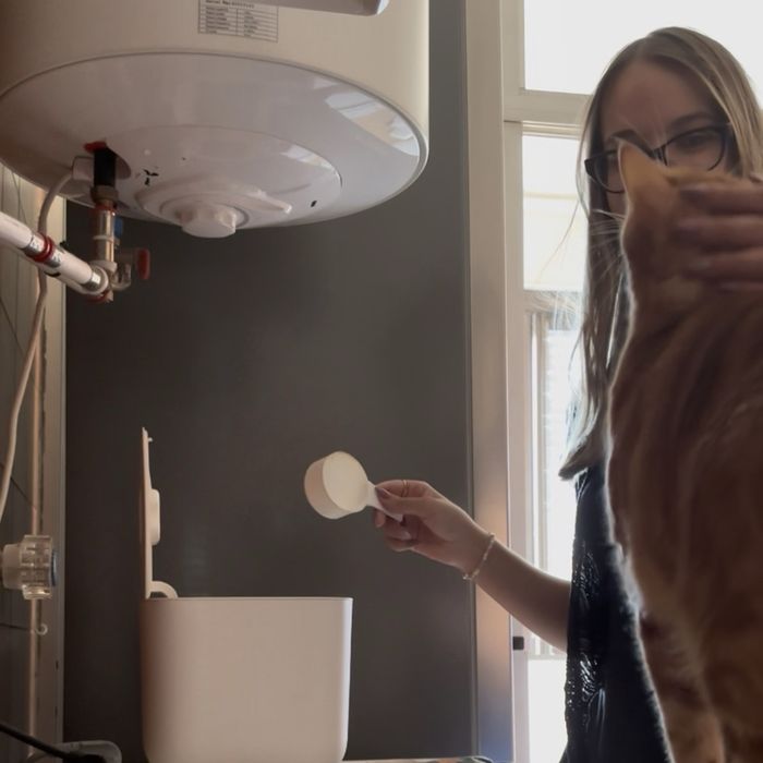 Pet sitter Lisboa | Cães e Gatos | House Sitting | Cuidadora de animais | Visitas, Passeios e Estadia