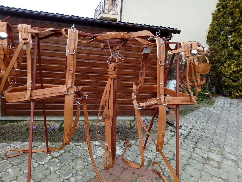 Uprząż, Szory na parę koni