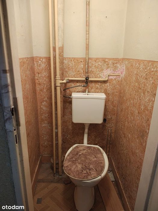 Zdjęcie 8
