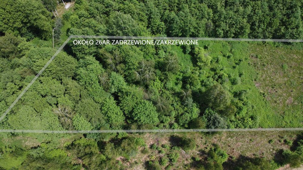 Działka 48,16ar w Czarnej Sędziszowskiej na sprzedaż - WZ - Widok 4