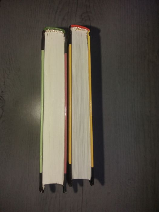 Комплект книг Стив Эриксон Амнезиаскоп. Явилось в полночь море (Эксмо)