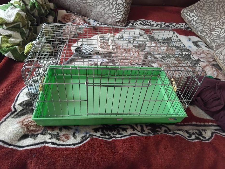 Продамо клітку для тварин