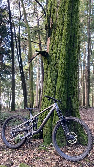 Trek Slash 9 AXS T-Type (Gen 6) L