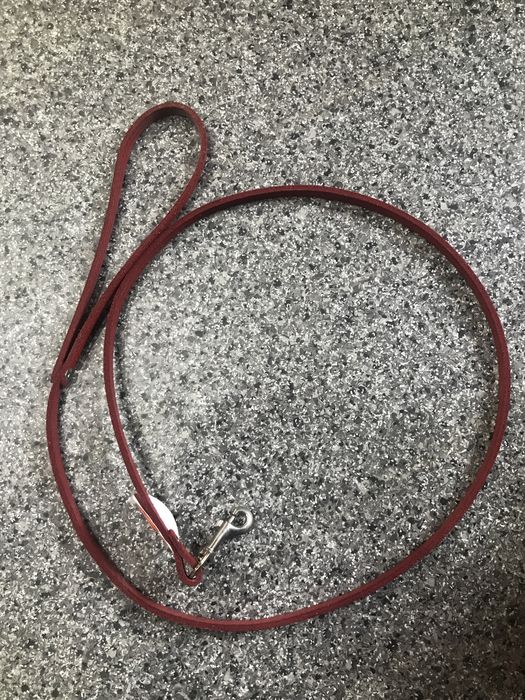 Skórzana smycz dla psa