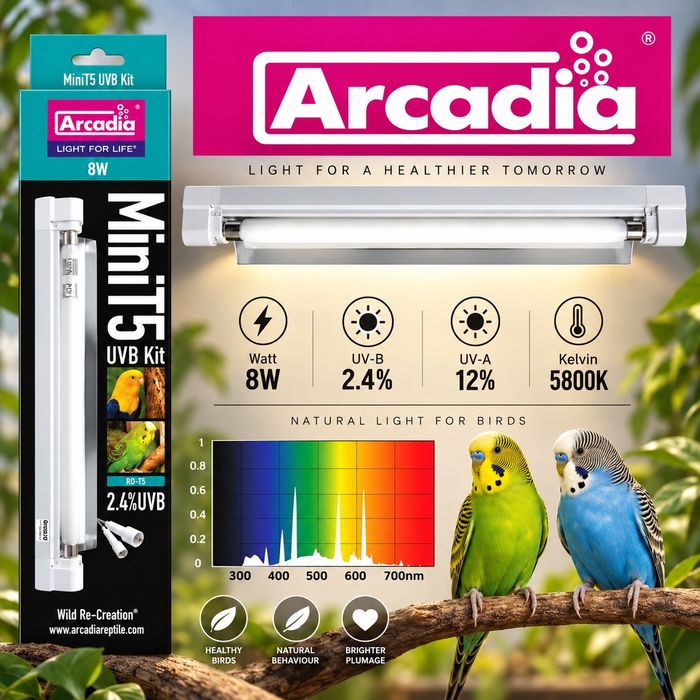 Лампа для птахів Arcadia зі світильником Mini Kit T5