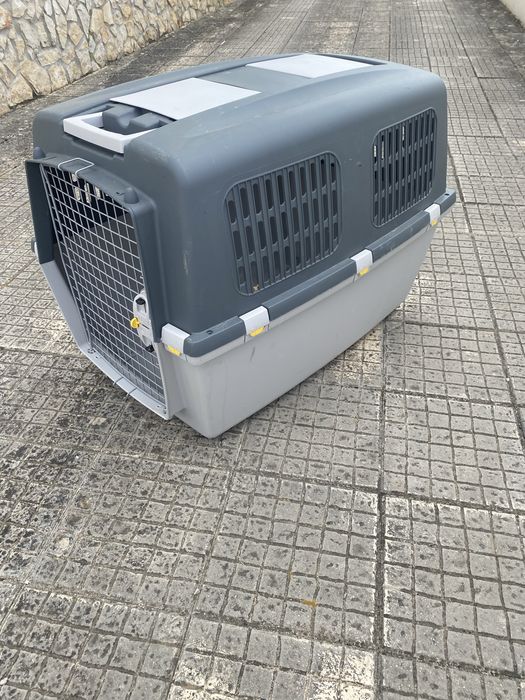 Caixa transporte animais