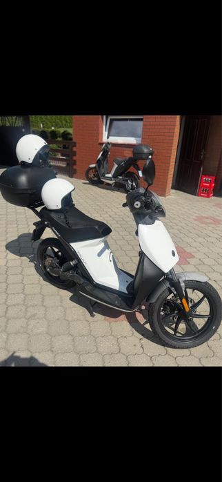Torrot