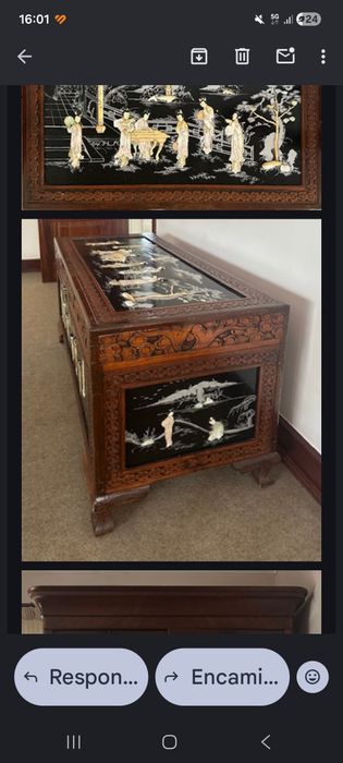 Arca cânfora oriental chinesa