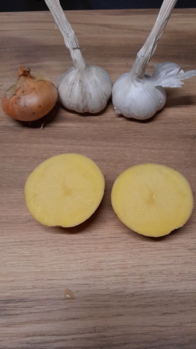 Ziemniaki jadalne Galla