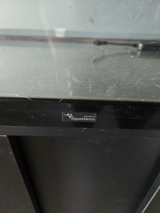 Aquario + móvel 200l