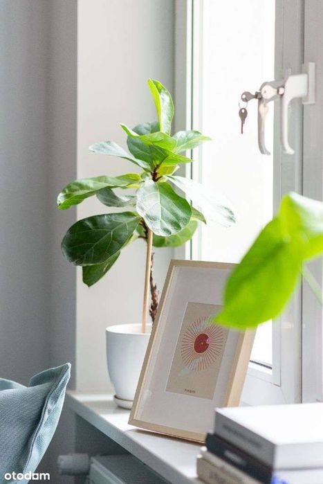 Modernistyczny apartament w sercu Gdyni