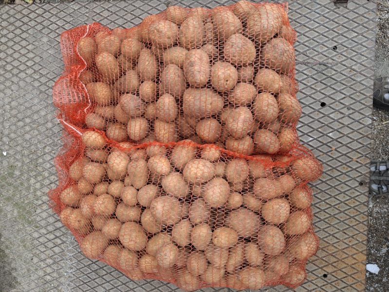 Ziemniaki wineta kal. 50+