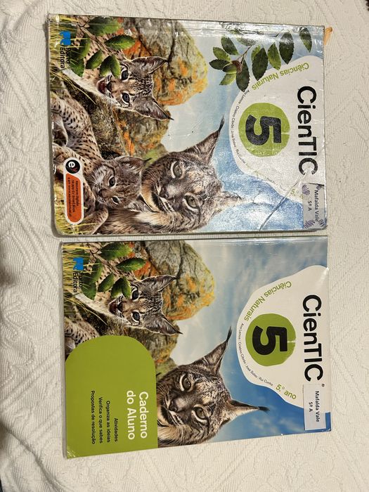 Manuais e cadernos exercicios 5 ano