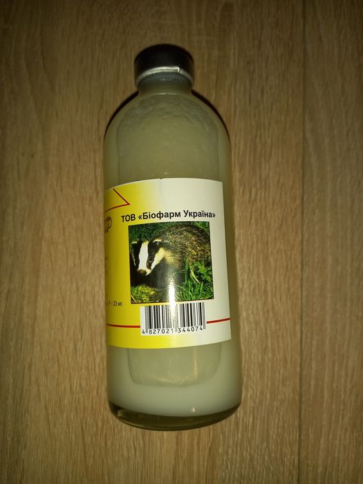 Smalec z borsuka