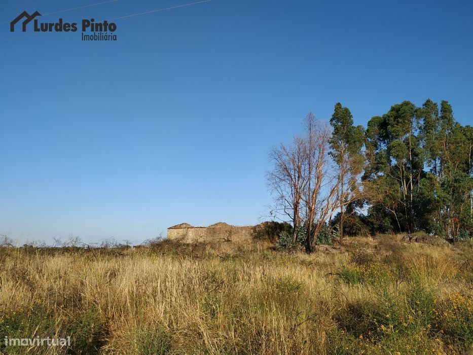 Quinta  em Castelo Branco — Castelo Branco, Castelo Branco