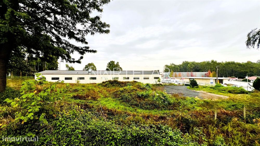 Industrial Plot - São Mamede Coronado, Trofa
