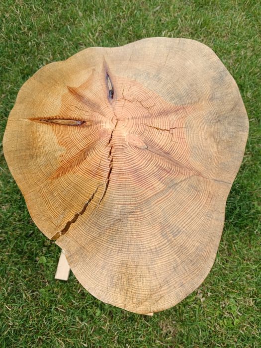 Stolik,plaster drewna