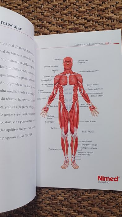 Doenças do aparelho locomotor - volume 2