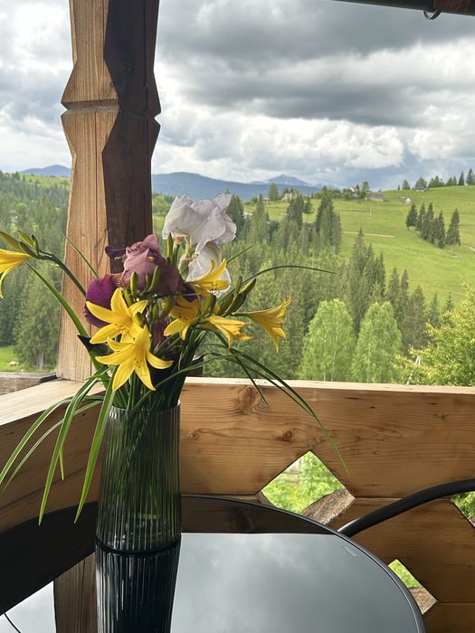 Відпочинок в Карпатах, Яблуниця(10км до ГК Буковель)В котеджі 4 номери