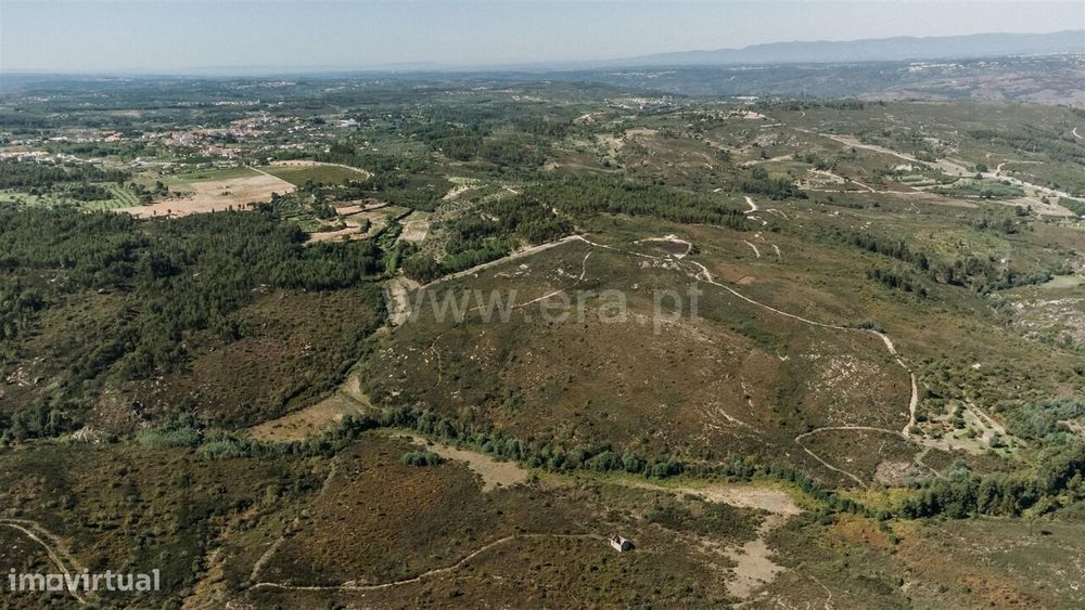 Quinta / Seia, Paranhos