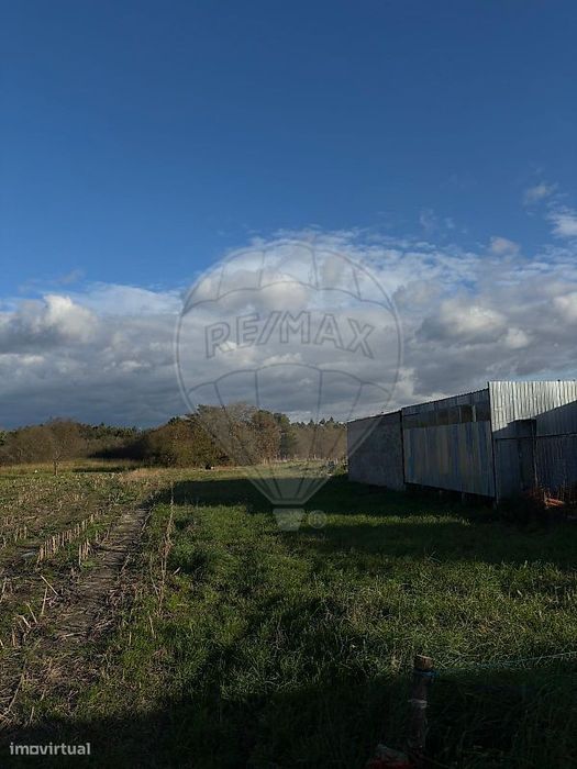 Terreno  para venda — Pardilhó, Aveiro