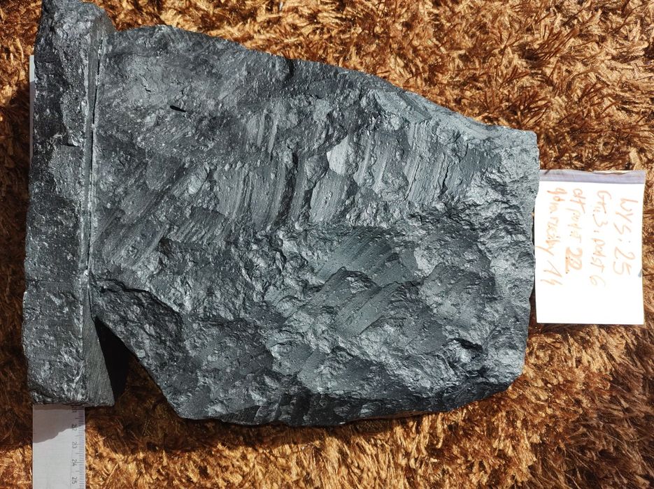 Rzeźba płaska w węglu