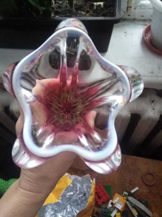 Крокус. Josef Hospodka. Чехия.