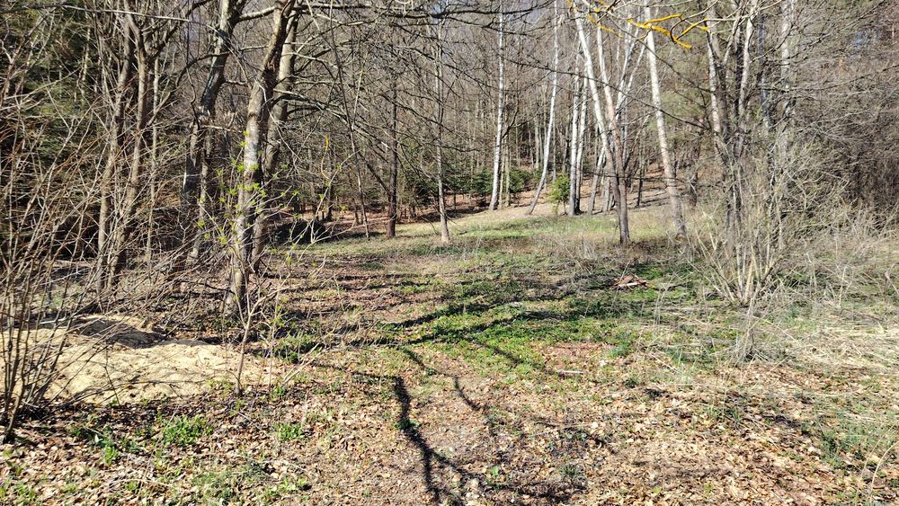 Działka Grabnik Krasnobród Roztocze 30a - Widok 3