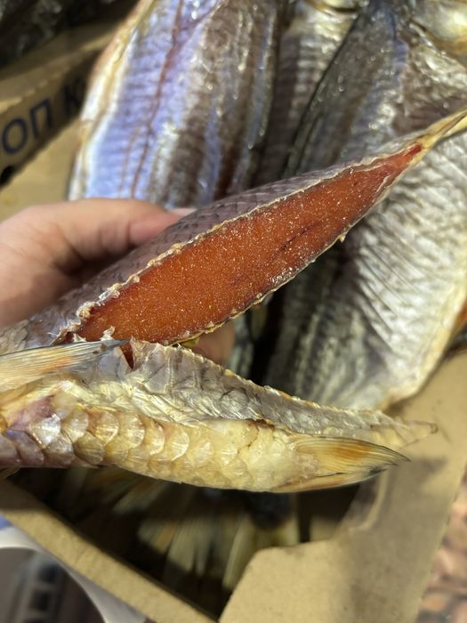 Шикарная, малосольная плотва с икрой !!!