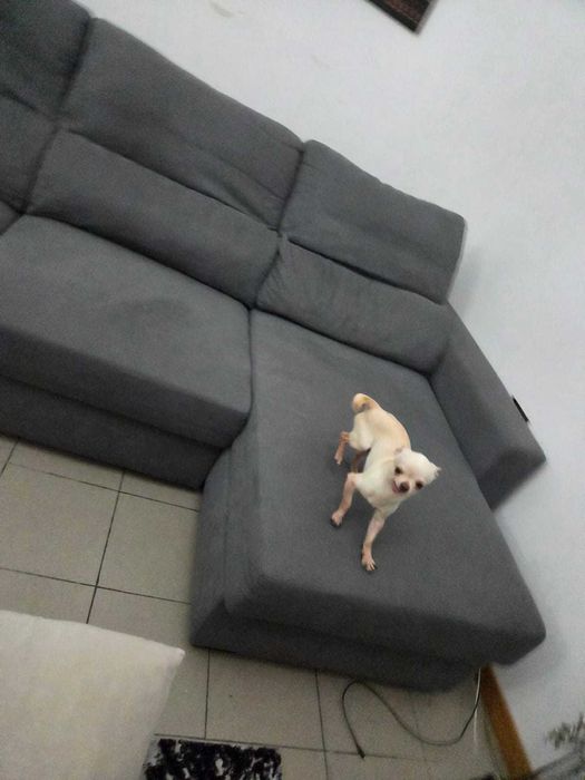 sofa cama usado .