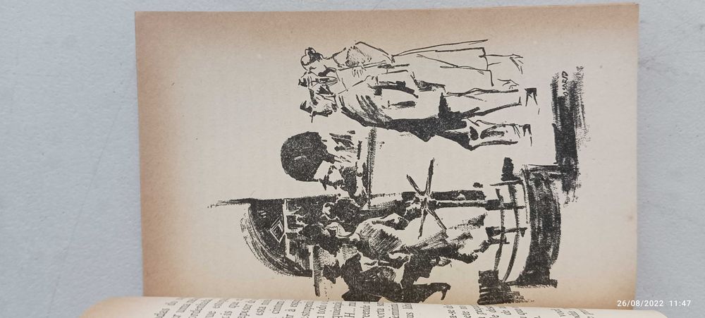 Livro Pa-1 - Paul Guimard - Os falsos irmãos