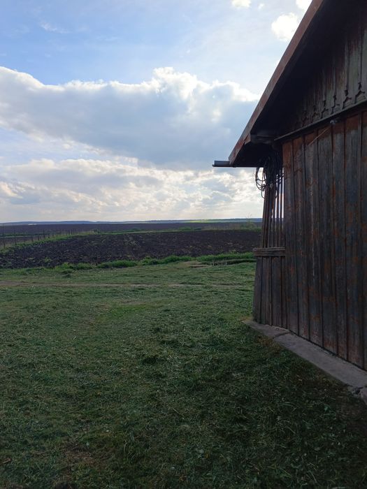 Будинок. Земельна ділянка