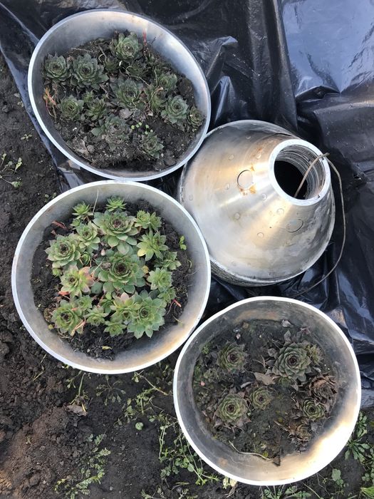 Вазони на вулицю 30/600гр. Кашпо з нержавійки