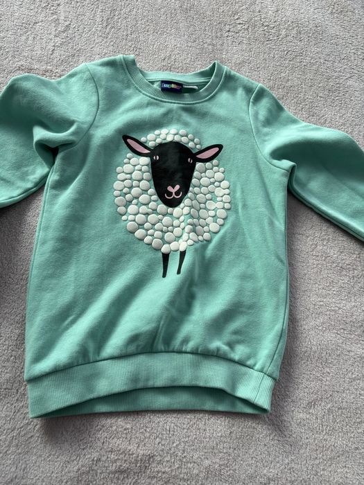 Ciepła bluza Lupilu 110-116