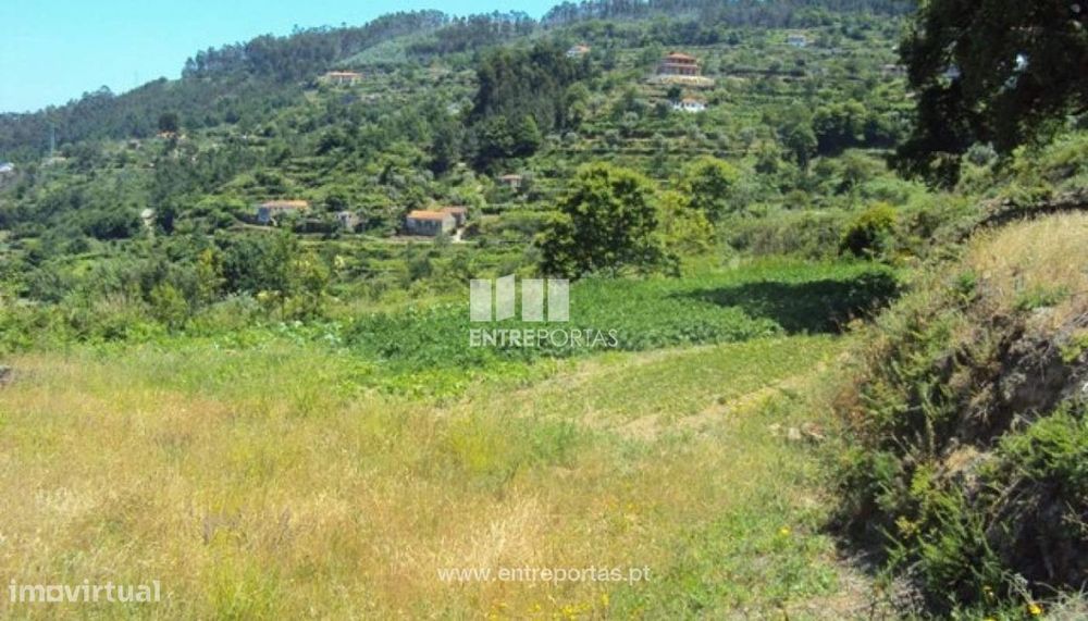 Venda Terreno, Tarouquela, Cinfães — Tarouquela, Viseu