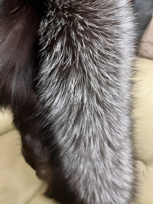 Продаю  мех чернобурки чулок