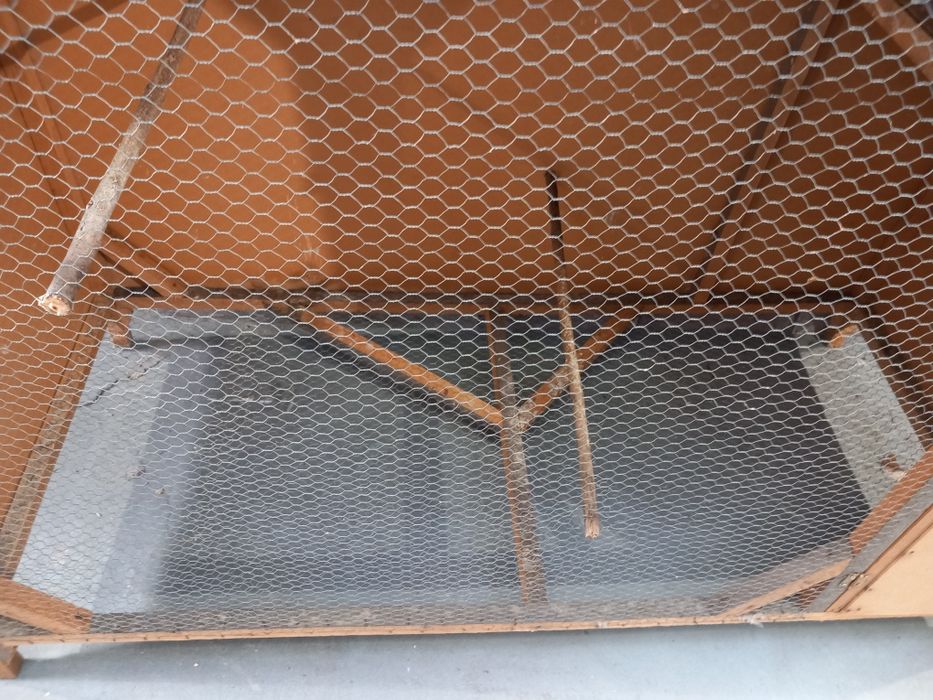 Viveiros para passaros em bom estado