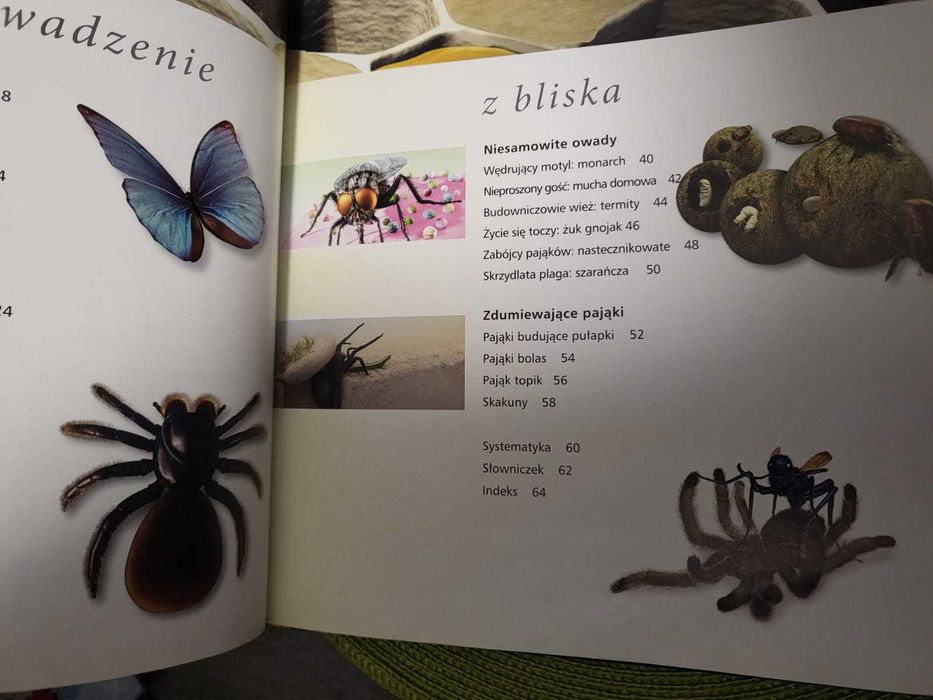Encyklopedia. Owady i pająki,  Noel Tait, z serii Z Bliska