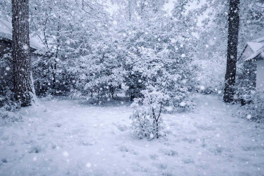 Продаж земельної ділянки під забудову 10 соток Ірпінь. Топова локація.