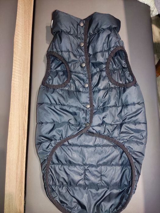 Жилетка для собак