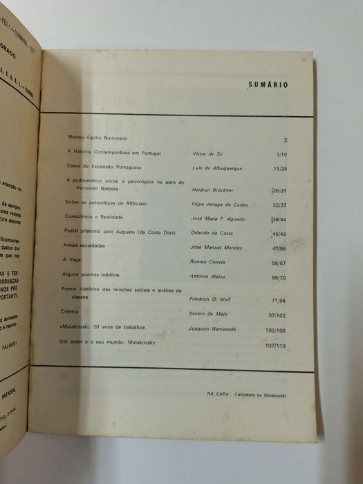 Vértice n° 492-493