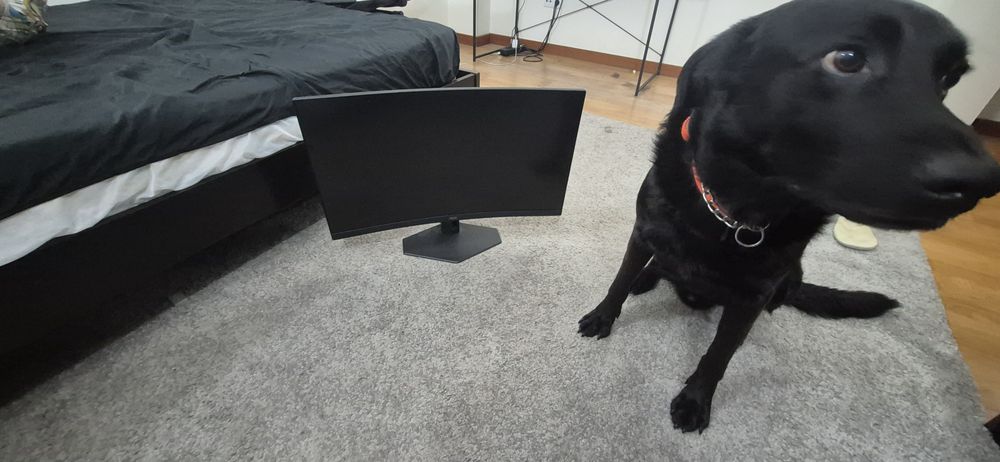 Monitor Gaming Curvo AOC G4 C27G4ZXE  (27" - QHD - 0,3 ms - 280 Hz)