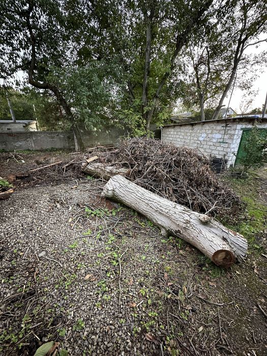 Деревина горіх