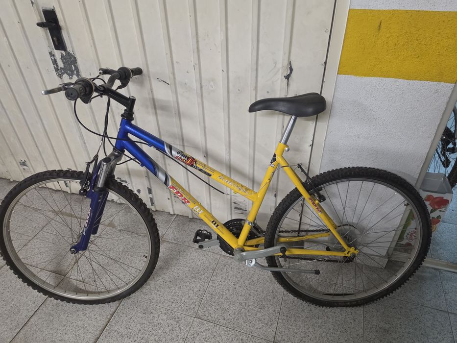 Bicicleta de montanha