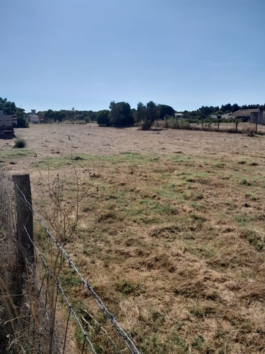 Arrendamento terrenos